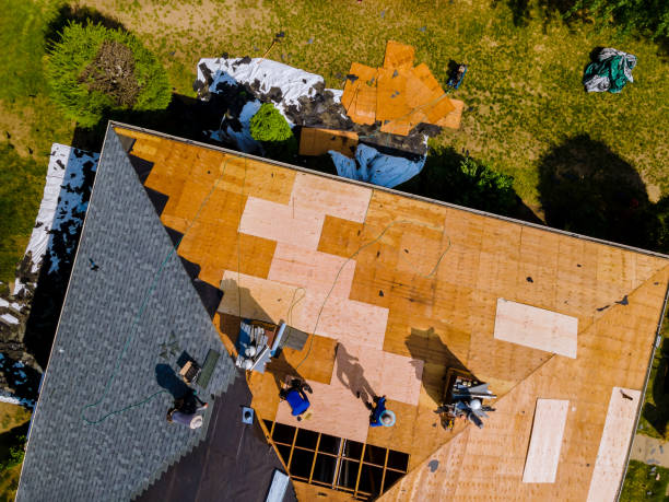Best Metal Roofing Contractor  in Inverness Highlands North, FL